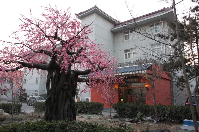 北京白鹿宾舍